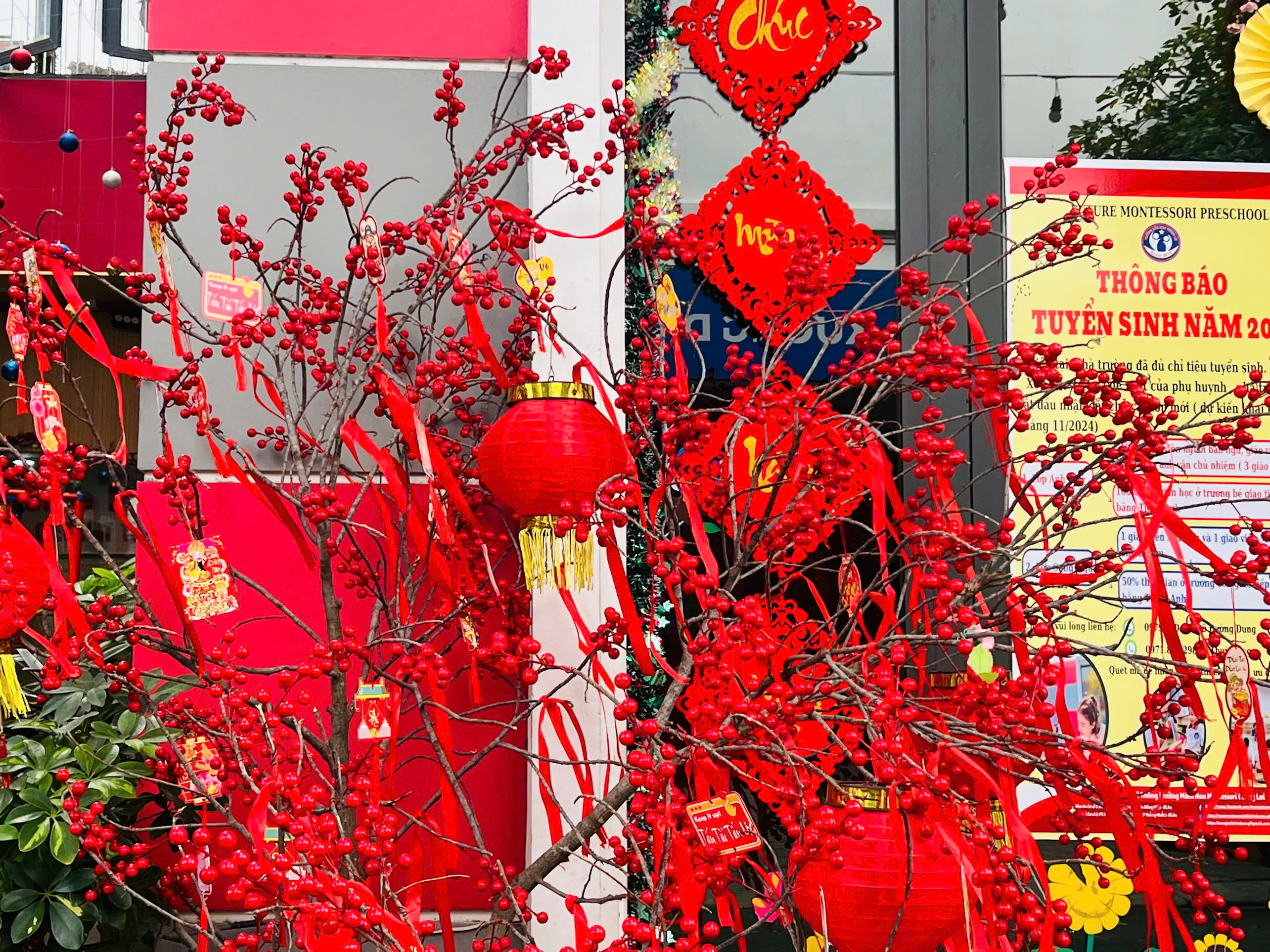I LOVE TET HOLIDAY? 